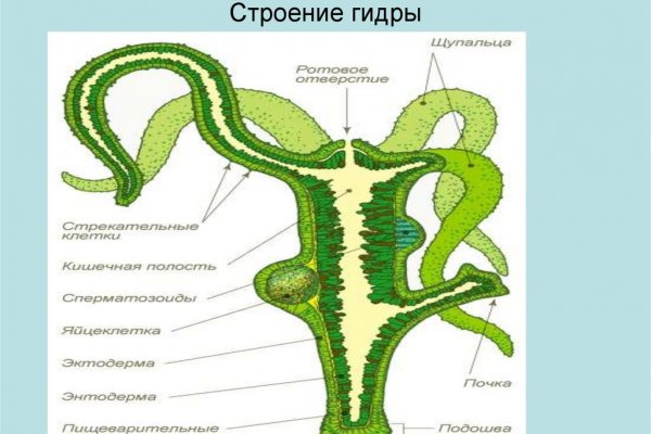 Зеркало тор браузера