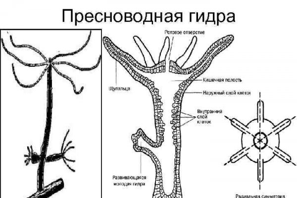 Кракен kr2link co